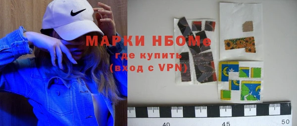 прущий лед Инсар