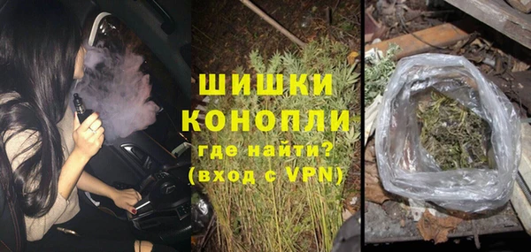 прущий лед Инсар