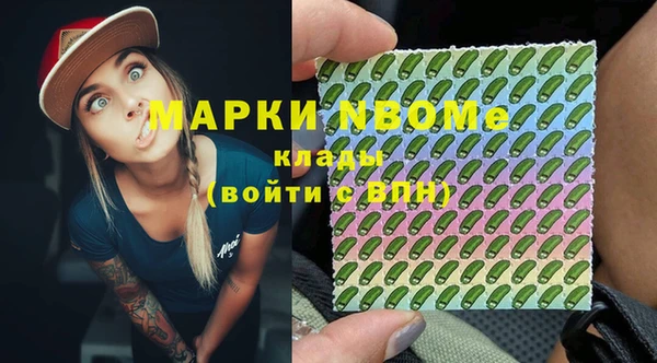 прущий лед Инсар