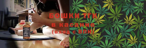 прущий лед Инсар