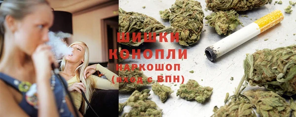 прущий лед Инсар