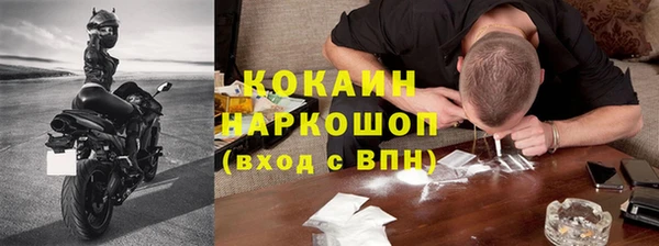 apvp Инта