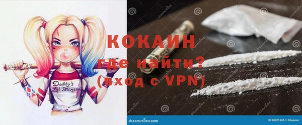 apvp Инта