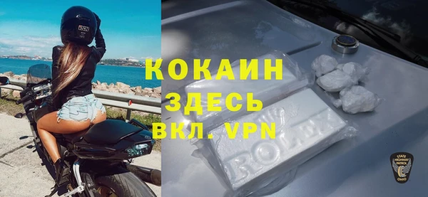 apvp Инта