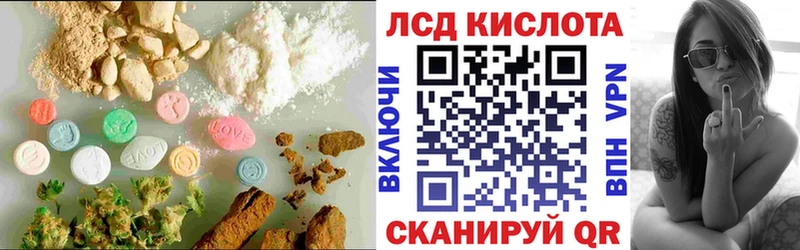 Купить где  Шилка  Лсд 25 экстази ecstasy 