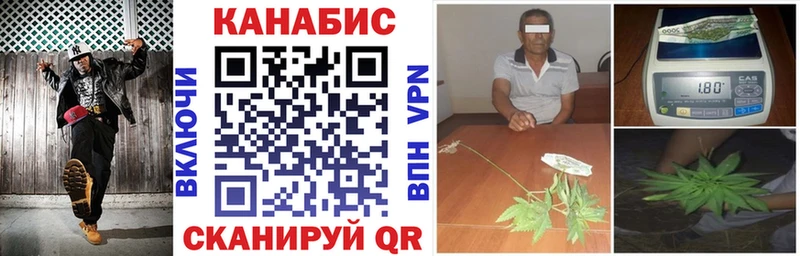 Конопля White Widow  Купить где  Шилка 